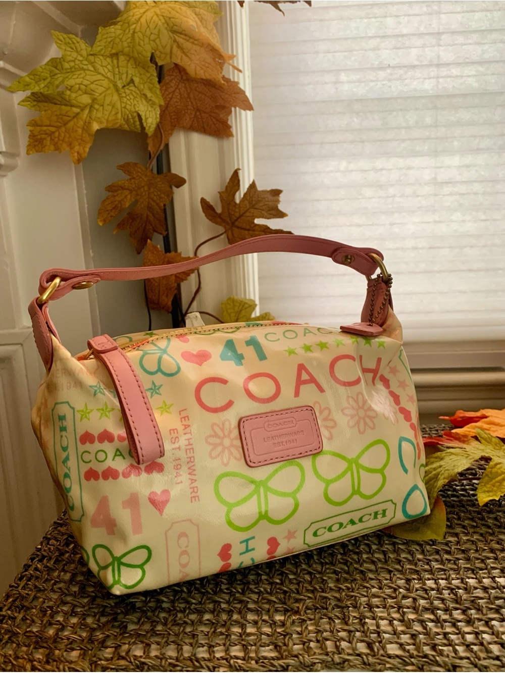 Vintage CoachY2K Rainbow Graffiti ButterflyMini Demi Bag Pochette Pink Leather